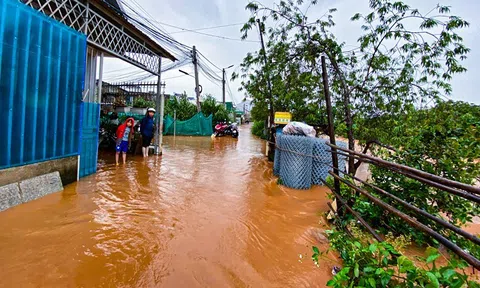 Lâm Đồng: Hàng chục nhà dân ngập nặng sau cơn mưa chiều